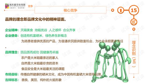 大米姐品牌營銷策劃案商業(yè)計(jì)劃書